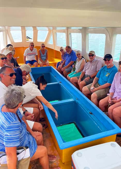 Tobago: Little Tobago Bird Sanctuary Visit and Boat Tour - The road to Speyside sets the tone