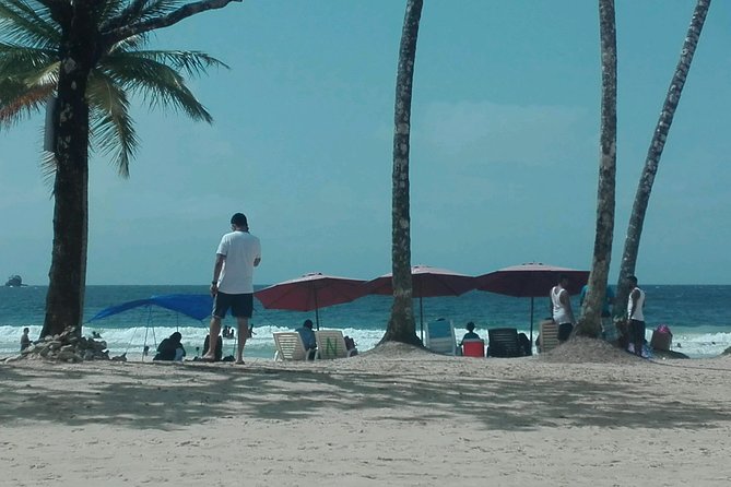 Trinidad City Highlights and Beach experience - Lady Young Lookout and the road through the Northern Range