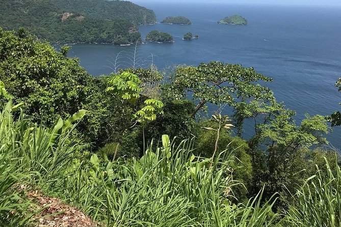 Trinidad Highlights and Scenic Drive Tour - A useful introduction to Trinidad in three and a half hours