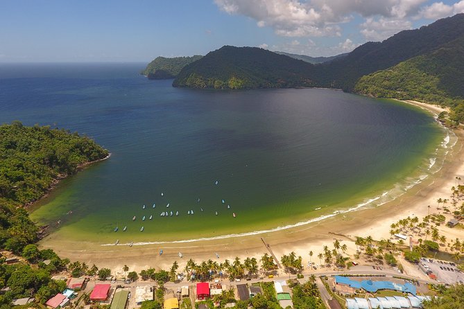 Trinidad Highlights and Scenic Drive Tour - The Magnificent Seven and Queen’s Park Savannah