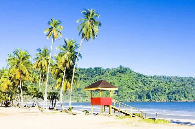 Trinidad Highlights and Scenic Drive Tour - What the guides add to the experience