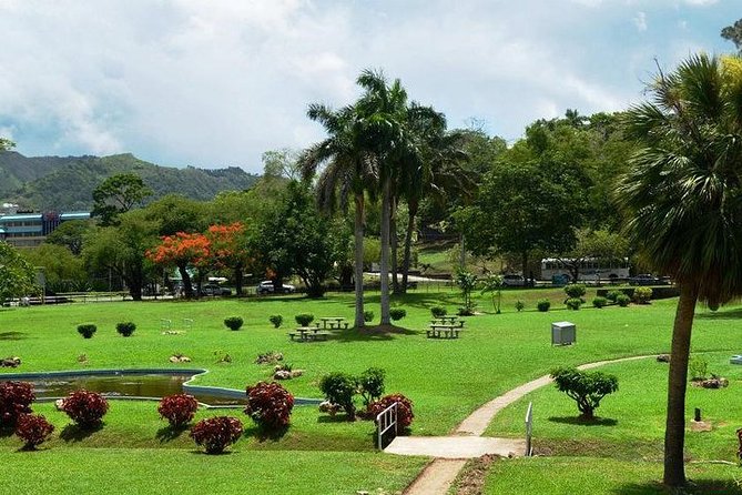 Trinidad Highlights Tour from Port of Spain - Tropical plants at the Royal Botanical Gardens