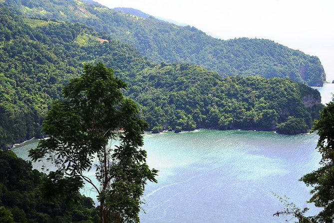 Trinidad Highlights Tour from Port of Spain - A brief look at the National Museum and Art Gallery