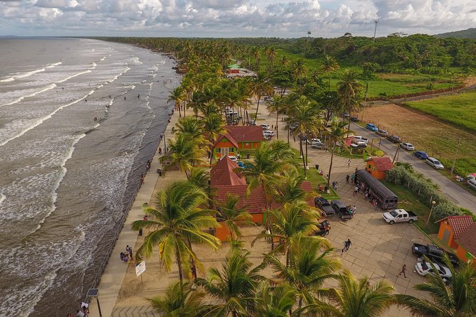 Trinidad Island Circle Tour with Pickup - A seven-hour look at Trinidad beyond Port of Spain