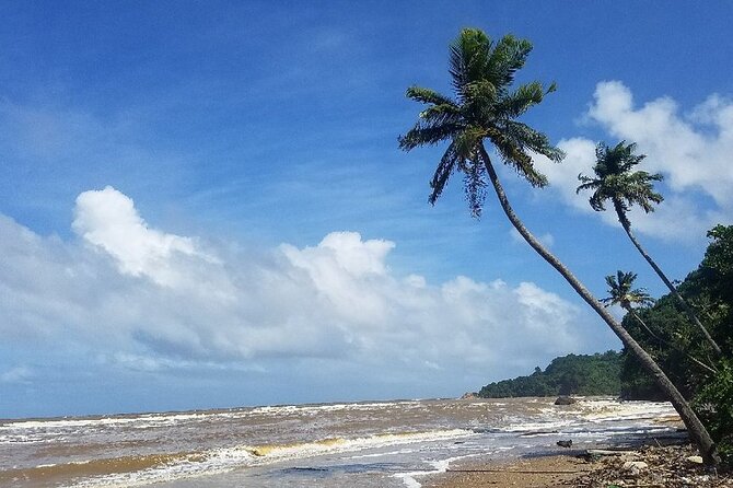 Trinidad Island Circle Tour with Pickup - Towns, food, and the possibility of a flexible route