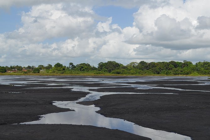 Trinidad Island Sightseeing Tour: Pitch Lake and Chaguanas - The Hanuman statue and Dattatreya Temple
