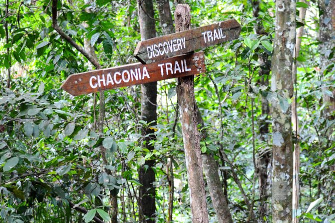 Trinidad Nature and Asa Wright Center Full-Day Tour from Port of Spain - The Guided Walk Through The Rainforest