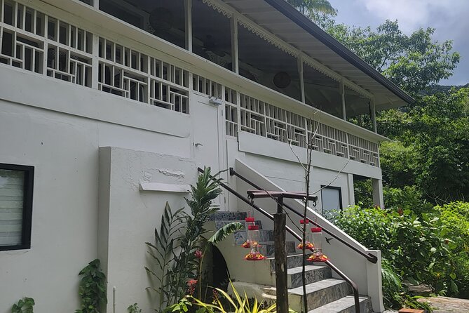 Trinidad Nature and Asa Wright Center Full-Day Tour from Port of Spain - Practical Details That Affect Your Day
