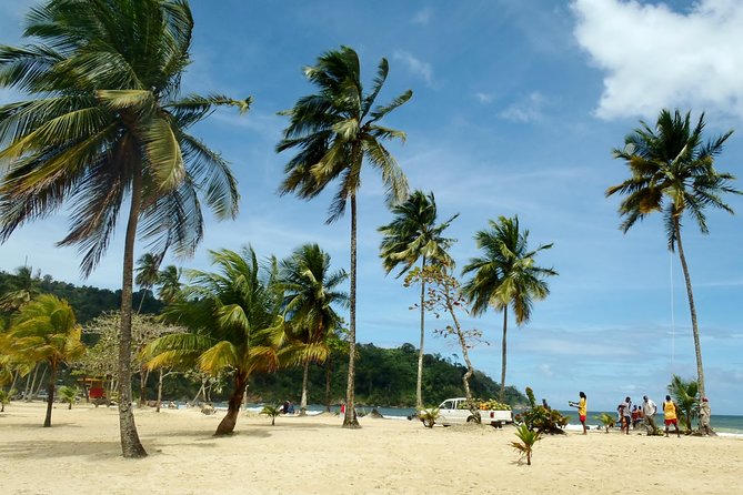 Trinidad Northern Eco-Cultural Full-Day Highlights Tour from Port of Spain - What makes this a good introduction to Trinidad