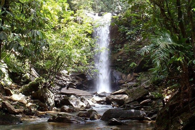 Trinidad Rainforest Hike to Waterfall - Why Avocat Waterfall is worth the effort
