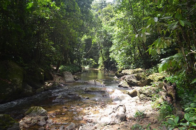 Trinidad Rainforest Hike to Waterfall - The North Coast road sets the mood
