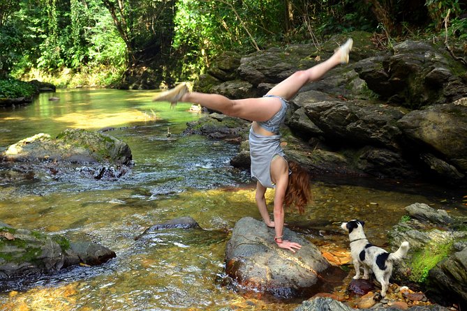 Trinidad Rainforest Hike to Waterfall - Swimming beneath the 65-foot falls