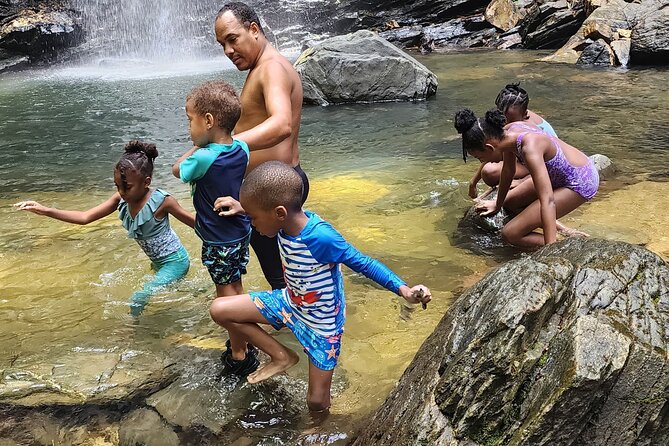 Trinidad Rainforest Hike to Waterfall - What the $115 price includes