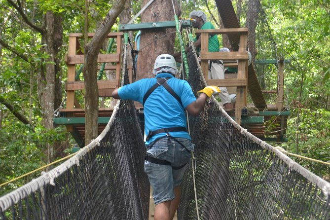 Trinidad Zipline Adventure - Seven lines, long cables, and five canopy walks