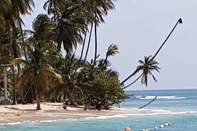 VIP Inclusive Private Tour of Island (Lunch, Drinks + Snorkeling) - Pink Sand Beach and Englishman’s Bay
