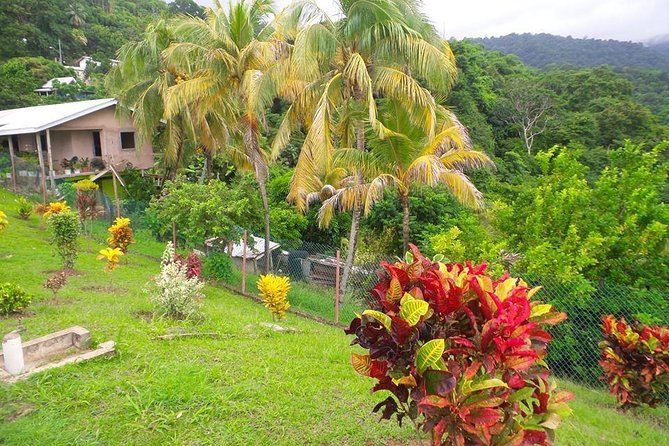 VIP Inclusive Private Tour of Island (Lunch, Drinks + Snorkeling) - Who will get the most from this Tobago tour