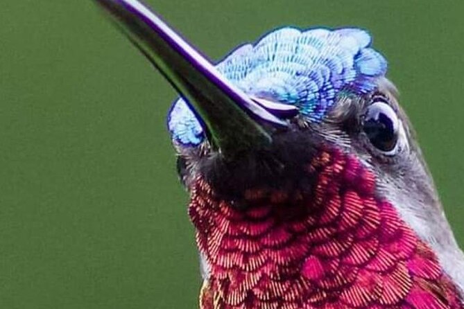 Yerette Home of the Hummingbird - Arriving at a private hummingbird garden