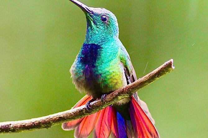 Yerette Home of the Hummingbird - Theo and Gloria’s personal approach