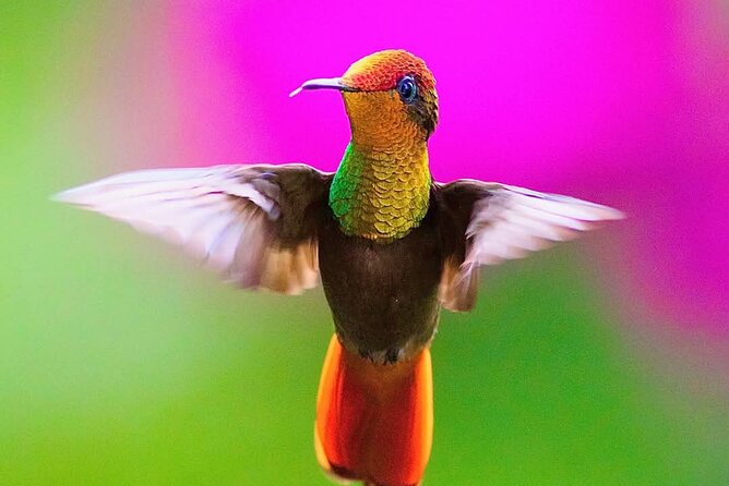 Yerette Home of the Hummingbird - Practical details that affect your day